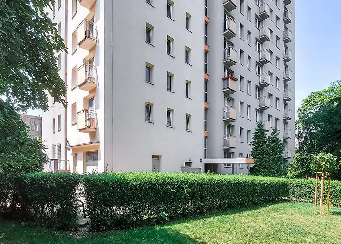 Shortstaypoland Madalinskiego
